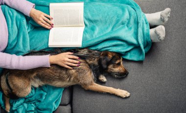 High angle view of woman resting in the couch with her dog while reading a book during winter. Leisure activities during cold season concept