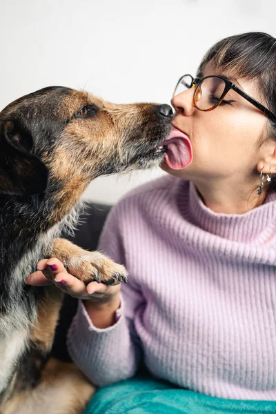 Dog Kissing Giving Paw His Owner Latin American Woman Vertical lizenzfreie Stockbilder