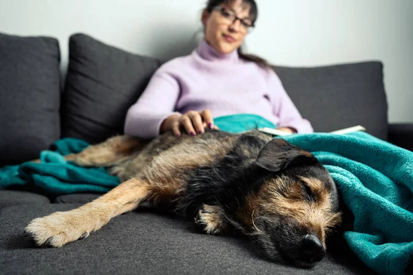 Sweet Image Latin Woman Petting Her Dog While Sleeping Couch lizenzfreie Stockfotos