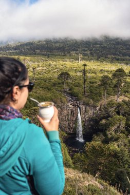 Kadın içki arkadaşı, Cascada Coloco şelalesine bakıyor yemyeşil ve bulutlu gökyüzünün altındaki Araucaria ağaçlarıyla çevrili. Neuquen, Patagonya Arjantin
