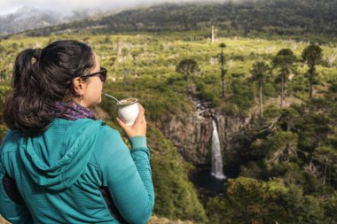 Güneş gözlüklü esmer kadın, Araucaria ağaçlarıyla çevrili Cascada Coloco şelalesine bakan eşini yudumluyor. Neuquen, Patagonya Arjantin