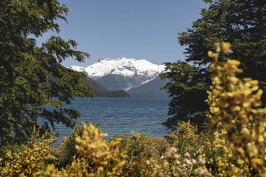 Karla kaplı dağ, yeşil ve sarı bitkilerin arasındaki göl. Los Alerces Ulusal Parkı, Chubut, Patagonya Arjantin