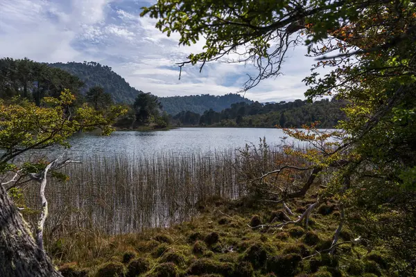 Los Bolillos, Neuquen 'in panoramik manzarası. Çarpıcı, aşınmış kaya oluşumları engin, kurak bir arazide berrak mavi gökyüzünün altında.