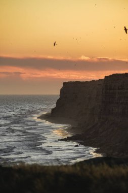 Sahilde kuşlar uçuşurken kayalık kayalıkların muhteşem karanlığı.