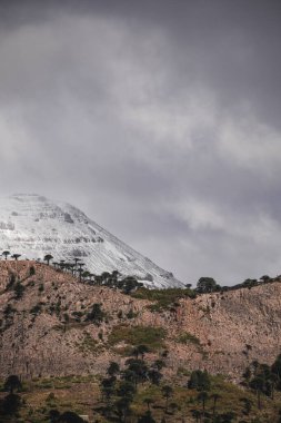 Araucaria ağaçlarıyla kaplı karla kaplı dağ bulutlu bir gökyüzünün altında kayalık, dokulu yamaçları beneklendiriyor. Patagonya, Güney Amerika