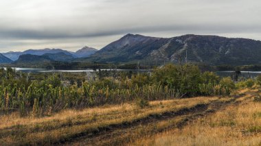 Patagonya 'nın bulutlu gökyüzünün altında gölün ve uzak dağların olduğu sakin bir manzara. Lanin Ulusal Parkı, Neuquen, Patagonya Arjantin