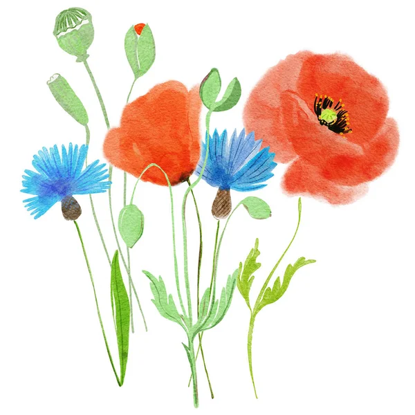 Mák Květiny Stylizované Akvarel Ilustrace Pro Pozadí — Stock fotografie