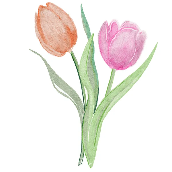 Tulipes Stylisées Illustration Aquarelle Pour Fond — Photo