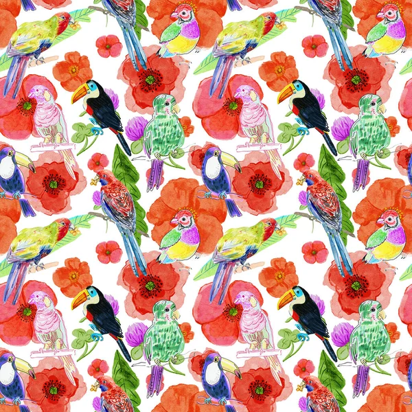 Mák Květiny Ptáci Vzor Stylizované Akvarel Ilustrace Pro Pozadí — Stock fotografie