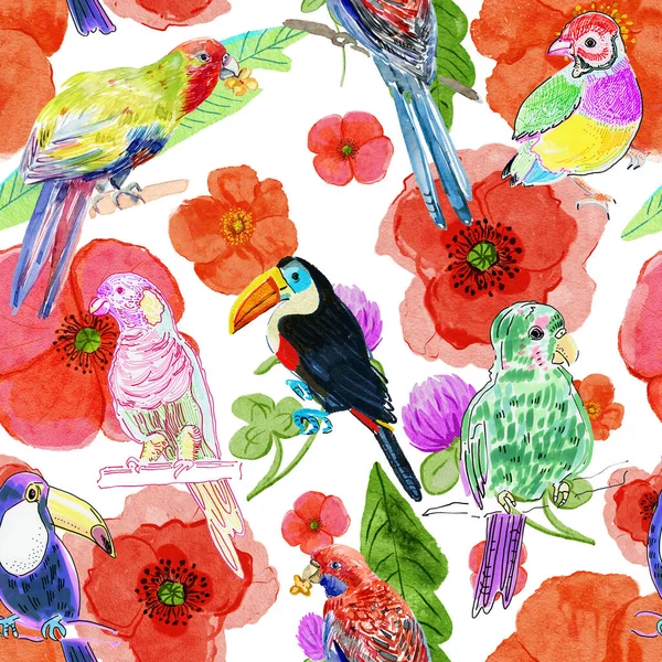 Vallmo Blommor Och Fåglar Mönster Stiliserad Akvarell Illustration För Bakgrund — Stockfoto