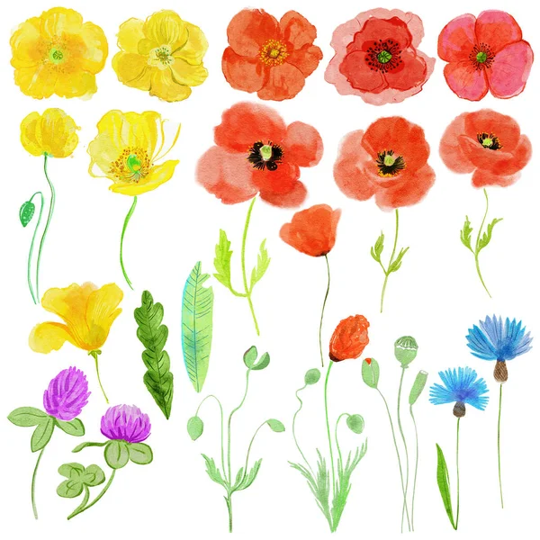 Kézzel Rajzolt Akvarell Virágok Levelek Tökéletes Kártyák Meghívók Esküvői Tervek — Stock Fotó