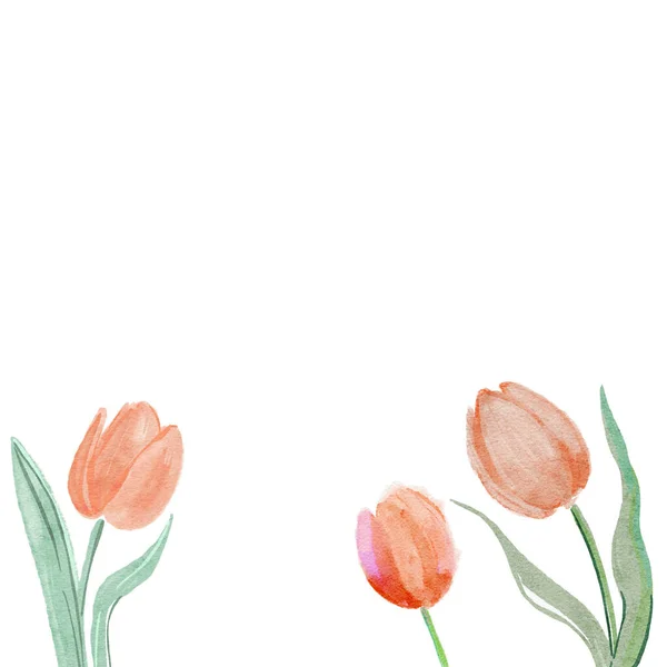 Kwiaty Tulipanów Szablon Zaproszenia Ślub Kwiatowa Kartka Życzeniami Pastelowy Kolor — Zdjęcie stockowe