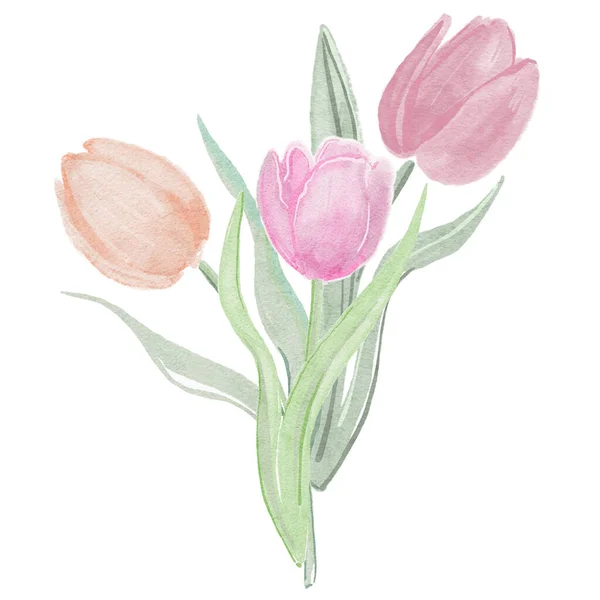 Kwiatowe Tło Akwarela Tulipany Kwiaty Malowanie Często Różowe Kwiaty Tkaniny — Zdjęcie stockowe