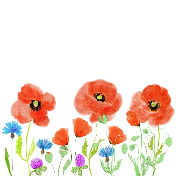 Ręcznie Rysowane Dzikie Kwiaty Projekt Karty Powitalne Zaproszenie Ilustracja Akwarela — Zdjęcie stockowe
