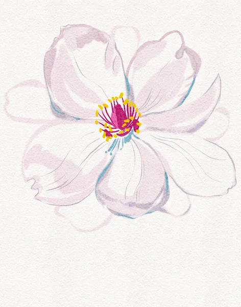 Illustrazione Disegno Acquerello Bel Fiore Sfondo Bianco — Foto Stock