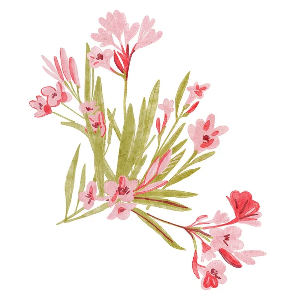 Handgetekende Oleander Sweet Oleander Rose Bay Closeup Mooie Roze Bloemboeket — Stockfoto