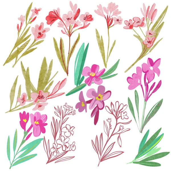 Set Ofhand Drawn Flowers Abstract Watercolor Background Oleander Leaves Design — Stock Photo, Image