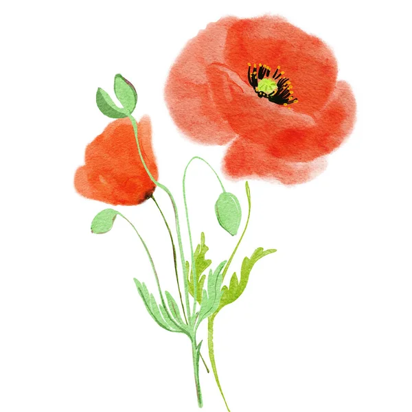 Rote Blumen Zeichnung Illustration Kann Als Stoff Tapete Umhüllung Verwendet — Stockfoto