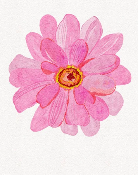 Beyaz Arka Plandaki Güzel Çiçeğin Suluboya Tasarımı Çizimi Stok Fotoğraf