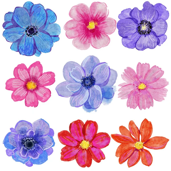 Σετ Από Όμορφα Λουλούδια Χειροποίητα Λουλούδια Για Σχεδιασμό Εικόνα Αρχείου