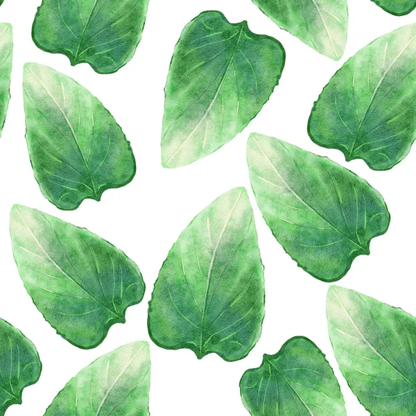 绿叶纹理 新鲜绿叶抽象背景 手绘水彩背景 — 图库照片