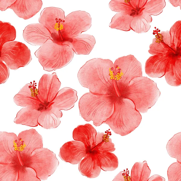 Conjunto Flores Vermelhas Desenhadas Mão Conjunto Hibiscus Watercolor Vermelho Para Fotografias De Stock Royalty-Free