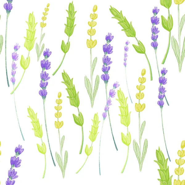 Herbal background with summer or spring garden flowers and plant pattern. Perfect for textile, wallpaper or banner backgrounds, gift wrapping paper, card decoration.