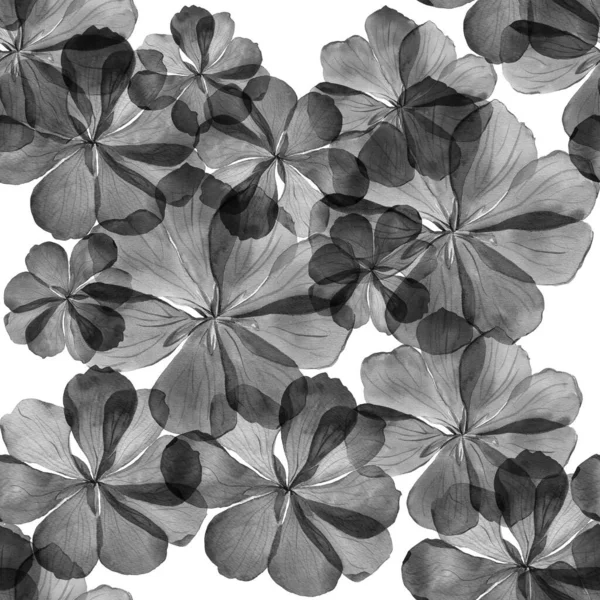 Tropikal Çiçekli Siyah Beyaz Desenli Duvar Kağıtları Tekstil Kapaklar Ambalaj — Stok fotoğraf