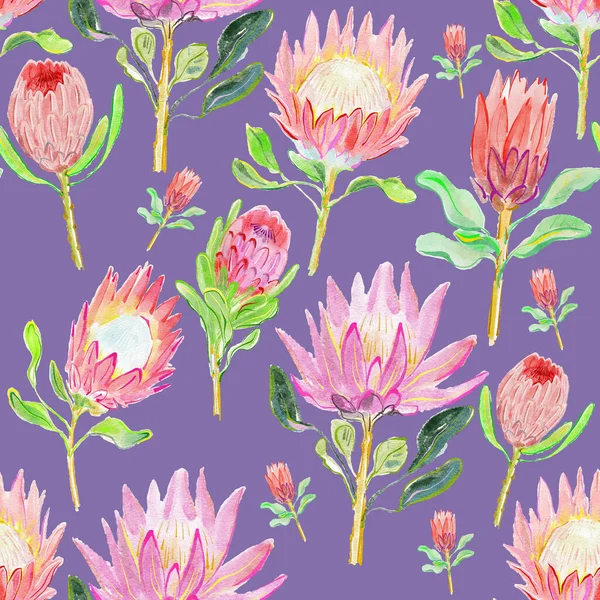 Bezproblemowy Wzór Pięknych Kwiatów Protea Tle — Zdjęcie stockowe