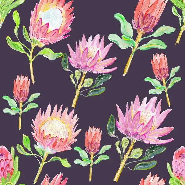 Bezešvé Vzor Krásné Protea Květiny Pro Pozadí — Stock fotografie