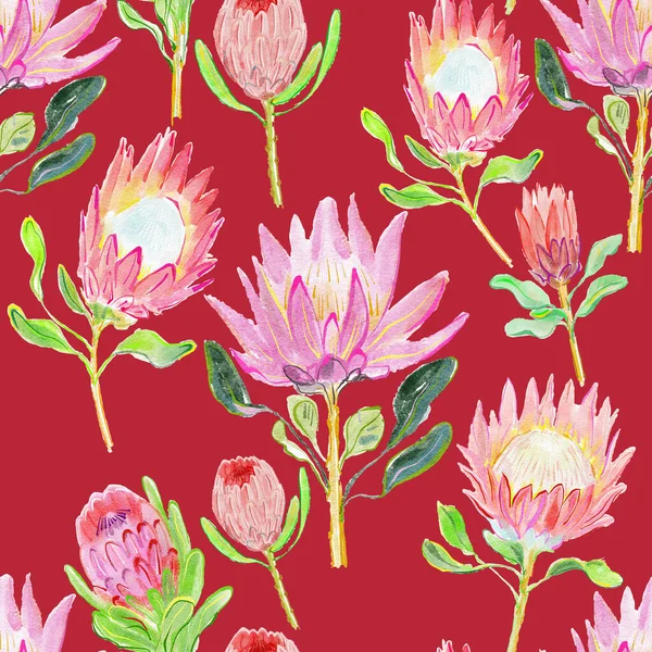 Sömlös Mönster Vackra Protea Blommor För Bakgrund — Stockfoto