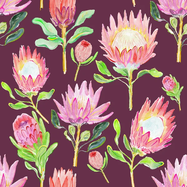 Bezproblemowy Wzór Pięknych Kwiatów Protea Tle — Zdjęcie stockowe