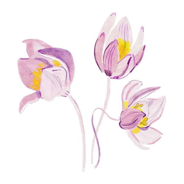 Färg Sömlös Akvarell Illustration Vackra Blommor — Stockfoto