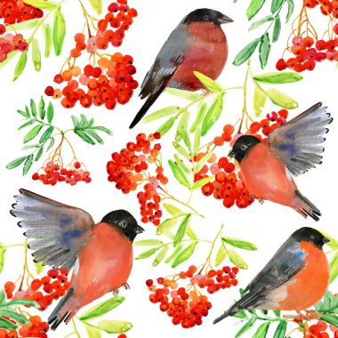 Yeni yıl ya da kış geçmişi. Kuşlar ve meyveler. Suluboya çizimi. Kusursuz desen.