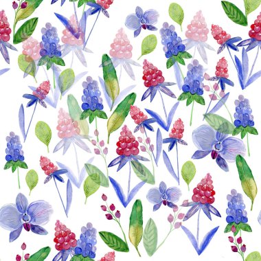 Kusursuz bir model. Böğürtlen ve orkide