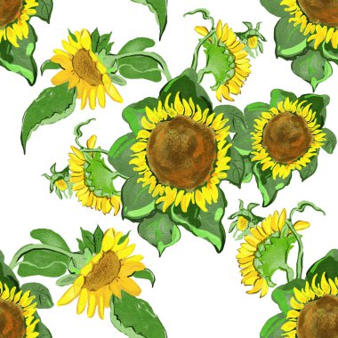 watercolor illustration of sunflowers on white background
