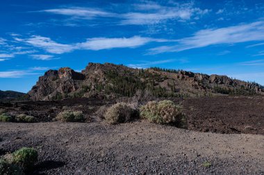 Tenerife 'deki las Narices manzarası