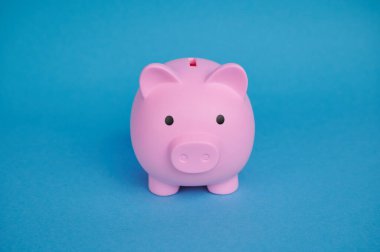 Neşeli pembe domuzcuk kumbarası açık mavi bir yüzeye oturmuş birikimleri temsil ediyor..