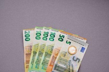 Gri arka planda bir avro banknot koleksiyonu düzgünce düzenleniyor. 5, 50, 100 ve 200 'ün mezhepleri kolayca görülebilir, onların ayırt edici tasarımları ve renkleri vurgulanır..