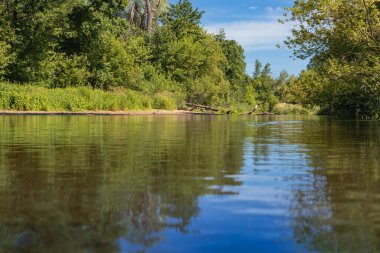 Landscape with a river in the forest. Summer in Mazovia Poland. Visiting Europe. Swider River