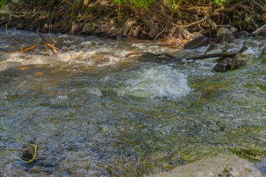 Rapid river. Whirlpools. Waves on the river. Vacations in Poland. Swider River.