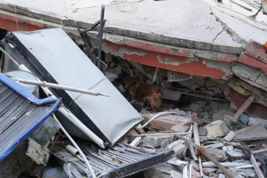 Antakya, Hatay, Türkiye - 12 Şubat 2023: Türkiye Depremi, Kahramanmaras, Gaziantep, Adana, Hatay, Adiyaman Şubat 2023, Deprem Sahneleri