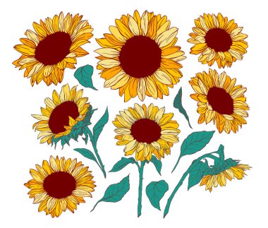 Sarı Ay Çiçeği Vektörü Lazer Kesme ve Yazdırma için İzole Tasarım Elementleri Toplama Ukrayna Geleneksel Sembolleri