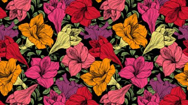 Geniş Çiçek Vektörü Kusursuz Arkaplan Kumaş Tekstil veya Duvar Kağıdı için Çiçek Tasarımı, Zarif Amaryllis Botanik Çizgisi Parlak Kırmızı ve Turuncu Renkli Sanat Yazısı