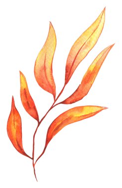 Suluboya Sonbahar Yaprağı İzole edilmiş Yaprak Yaprakları Sarı ve Turuncu Renkler Arkaplanda, El Boyalı Resimler