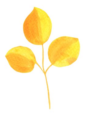 Suluboya Sonbahar Yaprağı İzole edilmiş Yaprak Yaprakları Sarı ve Turuncu Renkler Arkaplanda, El Boyalı Resimler