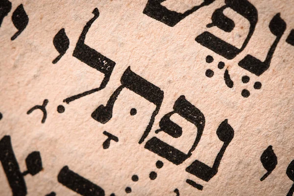 Εβραϊκή Λέξη Στη Σελίδα Torah Αγγλική Μετάφραση Είναι Όνομα Νεφθαλί — Φωτογραφία Αρχείου