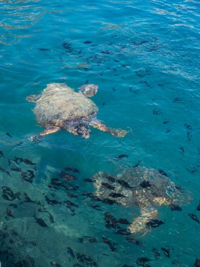 Kastellorizo (Megisti, Meis), Yunanistan