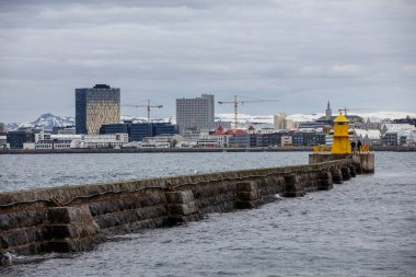 Reykjavik 'teki opera binası.