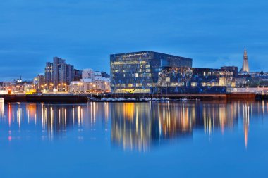 Reykjavik 'teki opera binası.